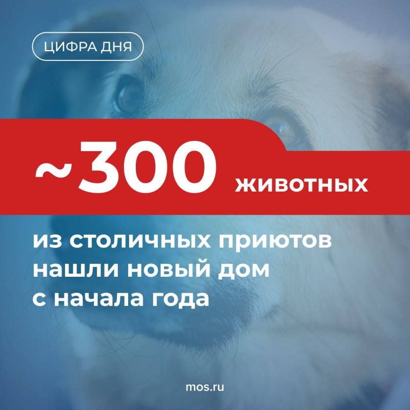 ��������� ������ ������������ ������� �������� �������� �������� ����� ������