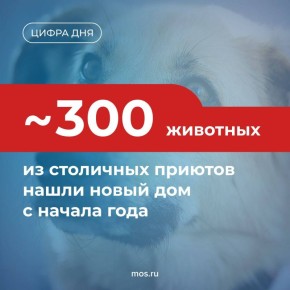 ��������� ������ ������������ ������� �������� �������� �������� ����� ������