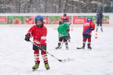 ���� ���������� ������� �� ������ ���������� �������