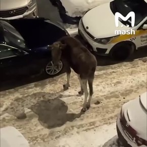 ��������� ����� � ����������� ��-�� ������� ����� � ������� �������� ��������� �� ������ ������ � ������ �����