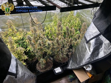 ���� � ��� ������������ ���������� ���������������� � ������