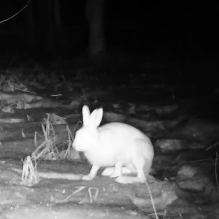 �� ����� � ����-�����. ���� ��� �������� ������ �������� � ������� �� �������� ����� ������ ������, ������� ����������� ��� � ������� �����