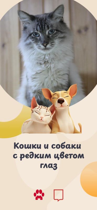 �������, ����� � ��� ������� ����