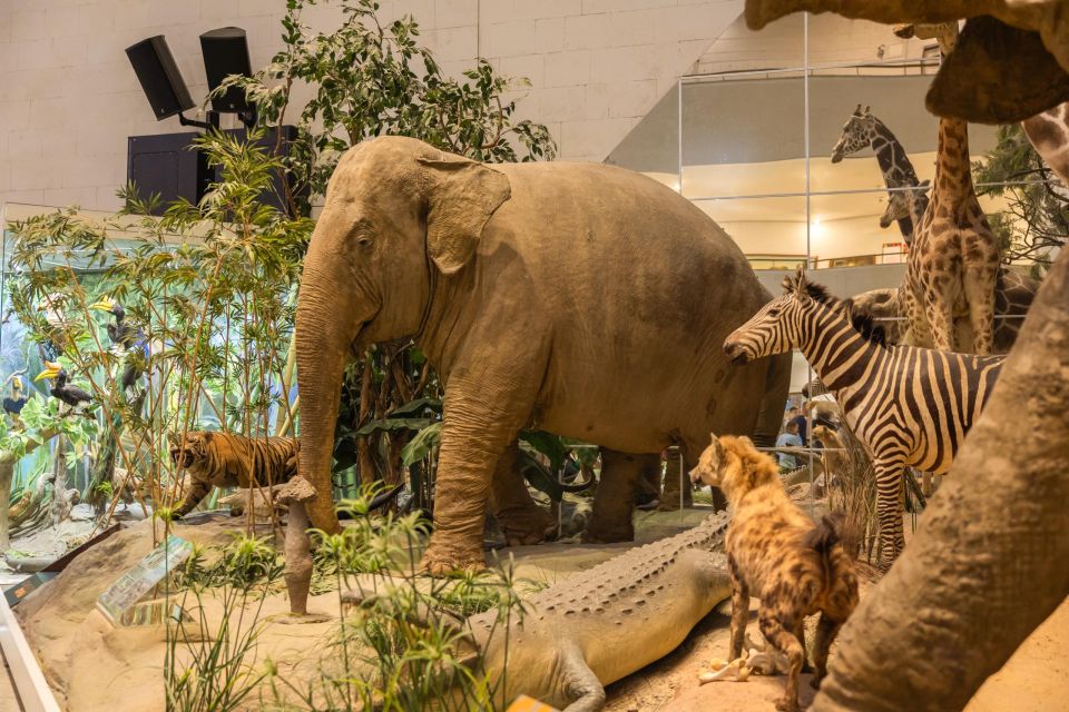 ���������� ���������� � ��������� ��������-�������� � ��� � ������ ������ ���� ������ ������������� ����� � ������ ��� ��������