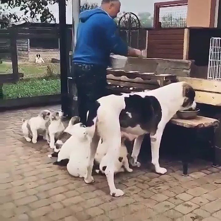 ������ ������ ���������� ���