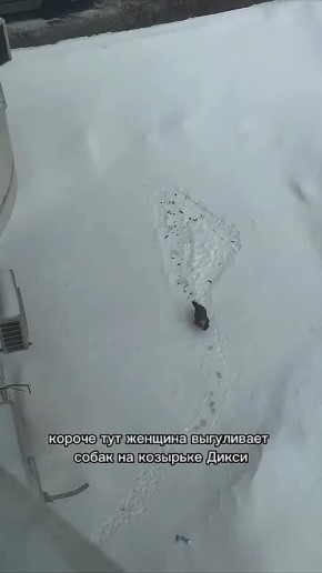 ��������� ���������� �������� ����� �� ����� ������������ �������� � ���������� �����