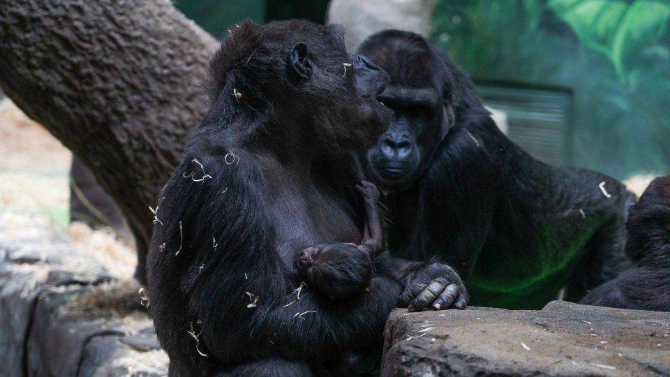 ��������� ���� ������ � �������� � ����� ��������� ���������� ����������