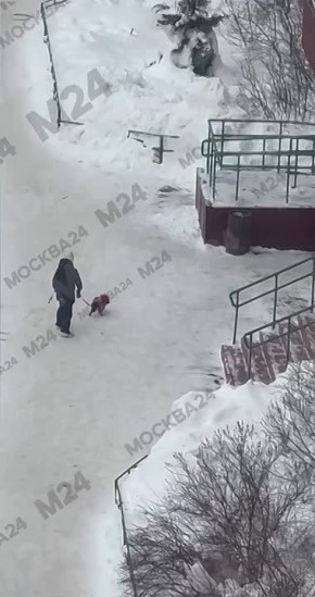 ������� ������ ������� �� �������� � ����� �� ������ � �������