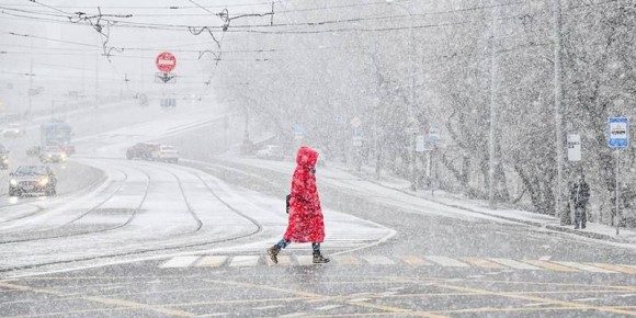 ������� ���� � ���������� ��������� � ������ 12 � 13 �������