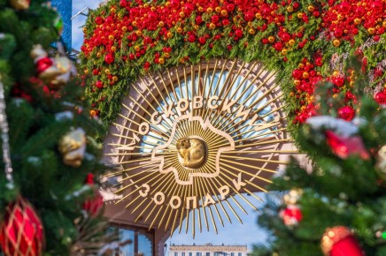 12 ������� ���������� ������� ������� ���� 162-� ���� ��������