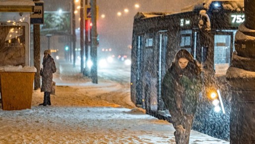 ����� ����������� �� ������ ������ � �����������