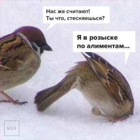 ���������� ������ ����������� �������� � ������ � ������ 44 ���!