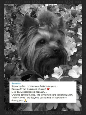 ���� ����������� ������, ������� ��������� ������ ����� ����� ���������-���������