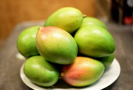 ������� �������� �����: ��� ��������� ��� ����������� ���������