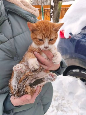 ������ ����� ������� �� ������� ������ �� ������������ ���