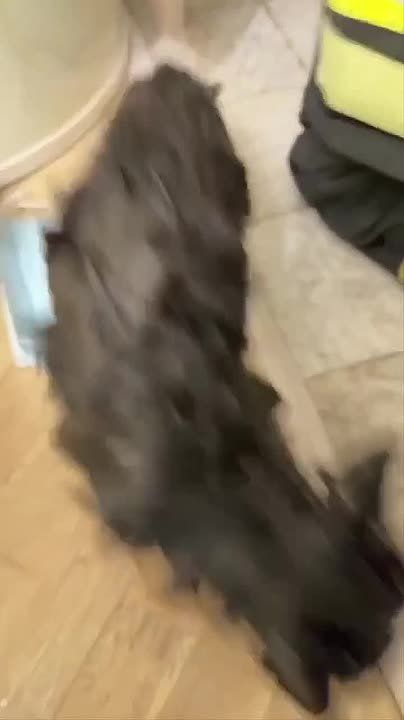 ��������� �������� ��������� ���� � ������� ������ � ������