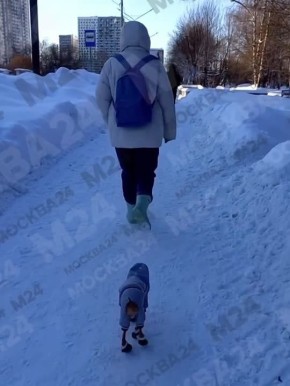 ������ ��������� ������� � �� ������ �����������, ���� ����� ���� �� ���������