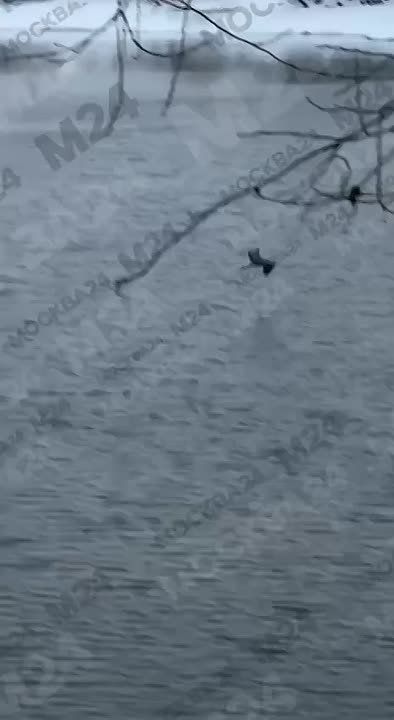 ������ ����� ��������� �������� � ����� 850-����� ������ � ������ ����� �� ���� ������� � ������.�� ������ ���� ��� �������� ����� ���������� � ���������