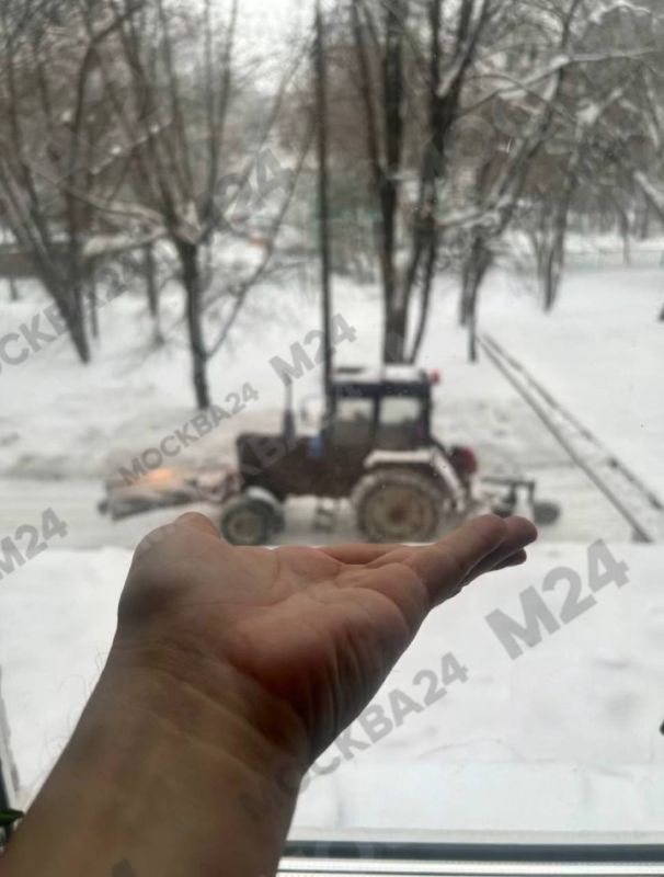 ���������: ��� ������� 20% �������� ����� �������