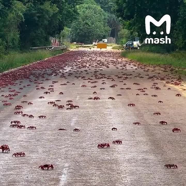 ��������: ����� � ������� ��������� ����������� ������� ������ � ������