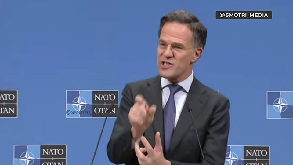 ������ ����������: ������ ���� ��������� ���� ������� � ������������� ����������� � ������� �� ������� - ����� � ��� ����� ����������� ����������� ������, ����� ��������� ����� ���������, ����� ������� � ��� ����� �������...