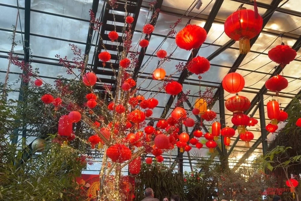 Улицы Москвы ярко украсили к Китайскому Новому году Улицы Москвы ярко украсили к Китайскому Новому году