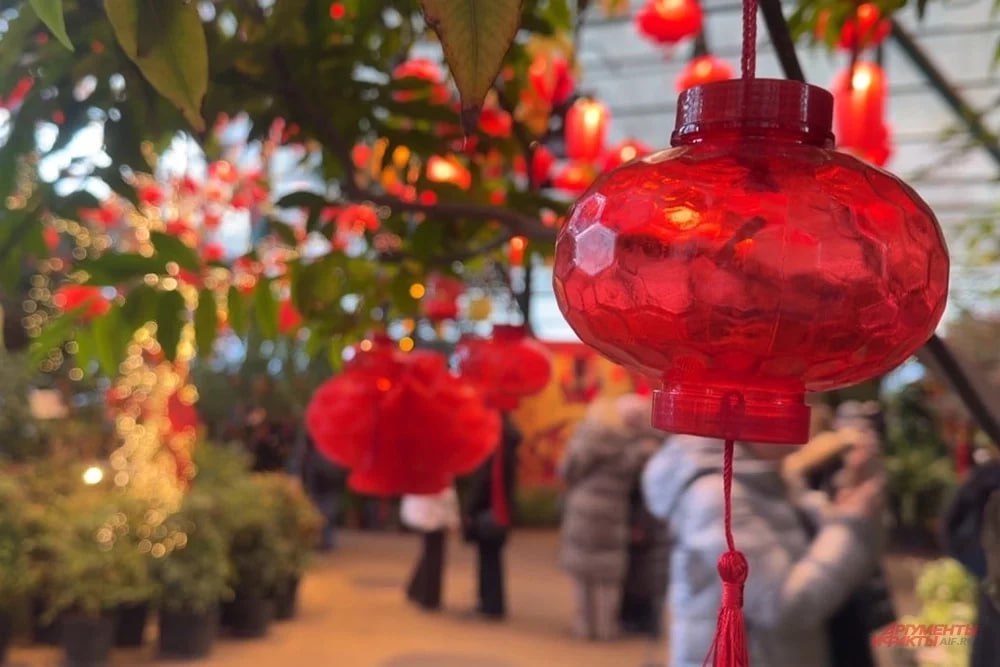 Улицы Москвы ярко украсили к Китайскому Новому году Улицы Москвы ярко украсили к Китайскому Новому году