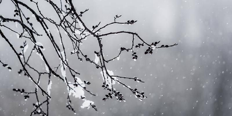 � ������� ������������ ������: ����������� ��������� �� �14 ��. � �������� ��������� ������ ���� � ������ � ������� ����������