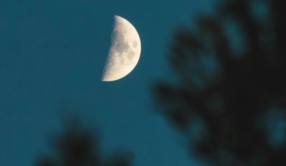 ��������������� ��� �������: �� ��� �������� �������� � ������ ��������� 2025 ����