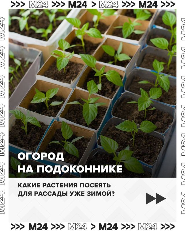 �������, ������ ���� �����!