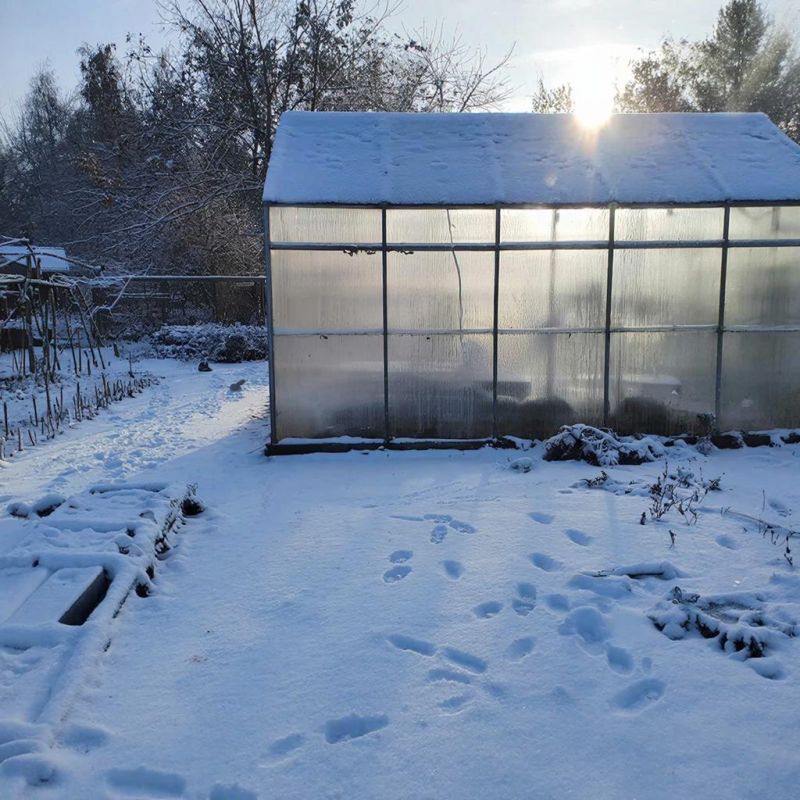 ��� �������� ������� �����: ������������ ������ ��� ��������