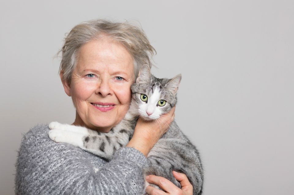 ���������� ����� ����������, � ������� �� �� ������������