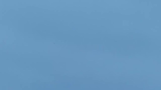 �������� ������ �� ���������� ������-���������, �������� � ������� ������