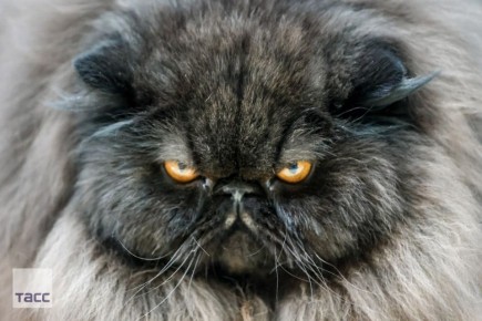 #�������_����. �������� ������� ������ � ����� ������ � ������