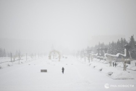 ������ � �� ����� 14 �������� ��������� ������� � ��������� �������