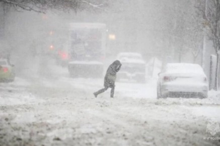 ����� ������ ����������. �� ������ ���� ������� �����