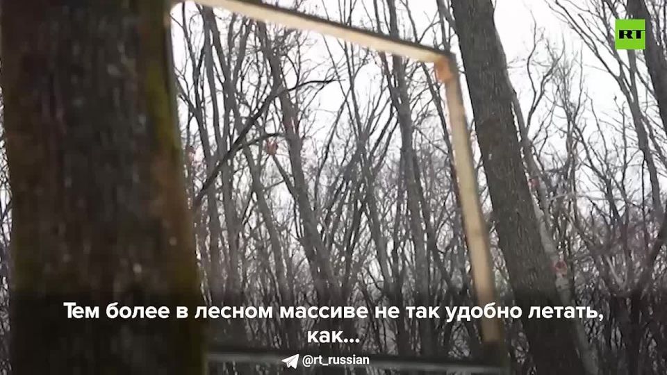 ����� ���: �������� ������