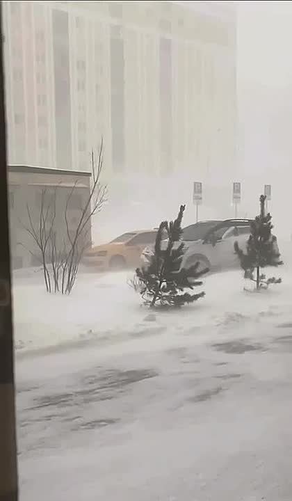 ���������: ������ �������� ������� ������ ������