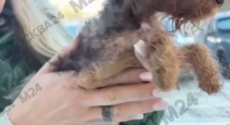 ��� � ����� ������� ��������� �������� ��������� ������-����� ����������