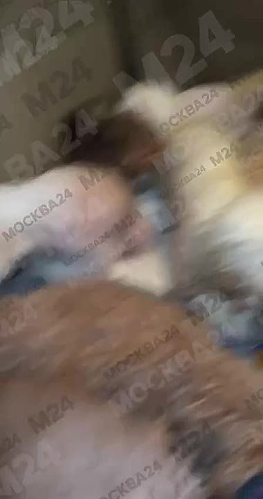 ������� ���������� ����� ������ ����� ����� �������� ��������� � �������� � ���� ��� ���� � ��������