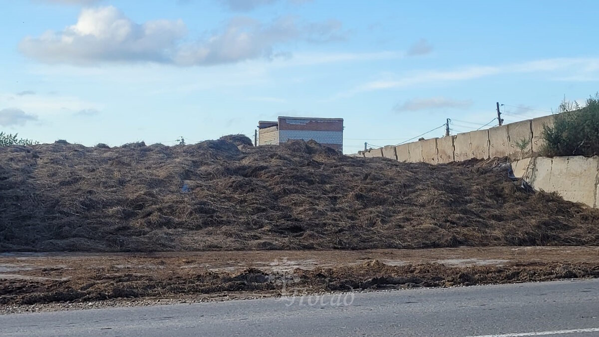 Эффективное оздоровление почвы: препараты и их преимущества