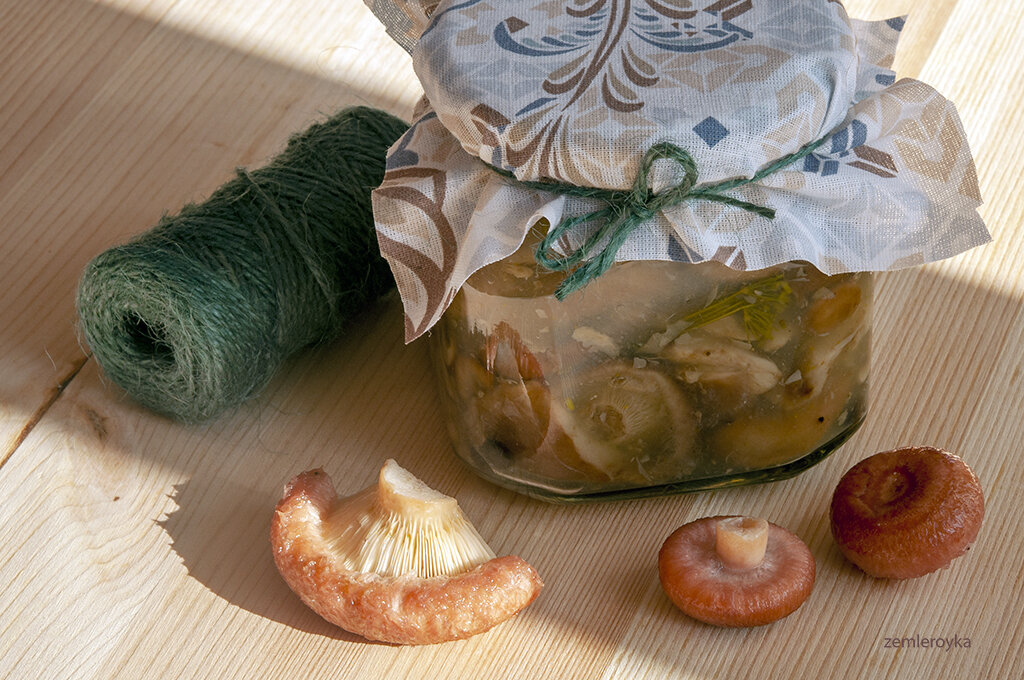 Как правильно засолить грибы: горячий способ, который завоевал доверие