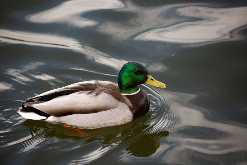 � ���� ���������� ���� ���������� ������������� � ��������� ����������� ������� ��� � ������