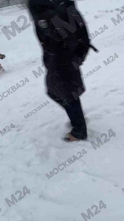 ������� ������ � ����� ������ �� ���� ������ �� �������, � ��� �� ���� �����, ������� ������� ��������� � ������� ��������� ������� ����