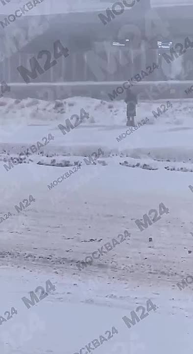 POV: когда попросили не выезжать на авто