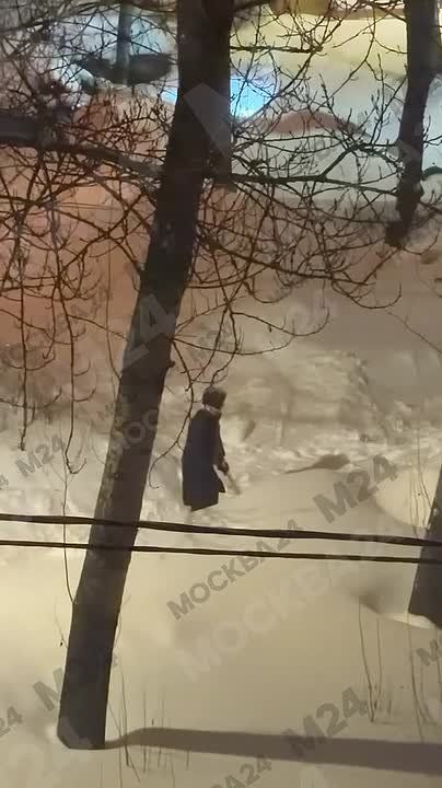 ��������� ������ ���� ����� ������