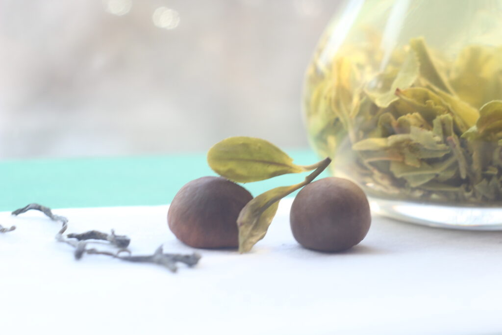 Чудеса ферментированного чайного масла для чувствительной кожи