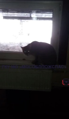 ��������� � �������� ������ �� ���� � ������