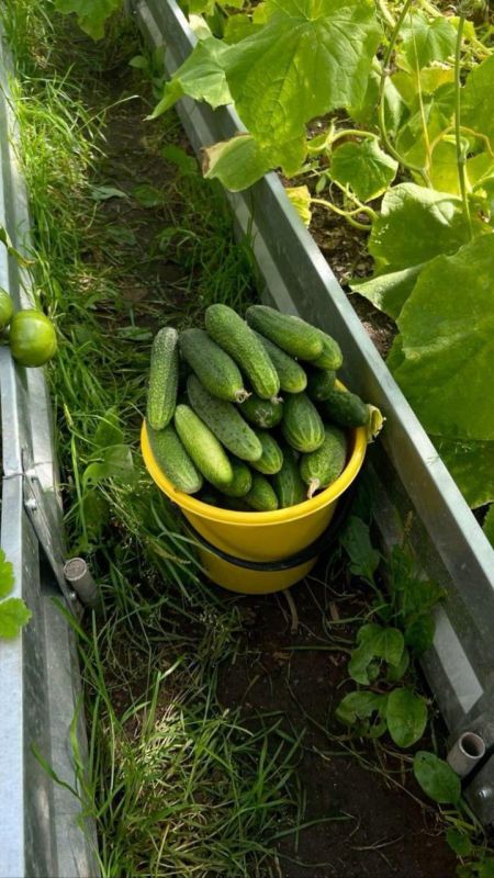 ������ ����������: � ����� ����� ����� ���������� � ������?