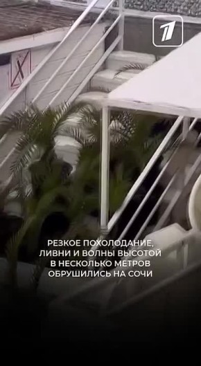 ���� ������ �������� � � ���� ������������ �����